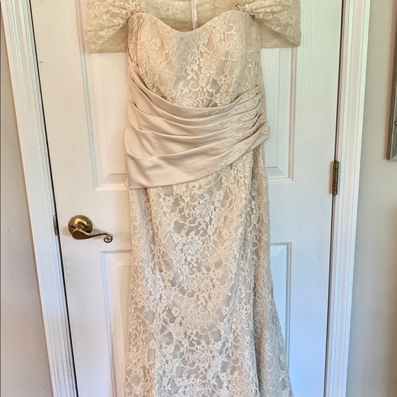 Champagne Lace Dress - Picture 6 of 8